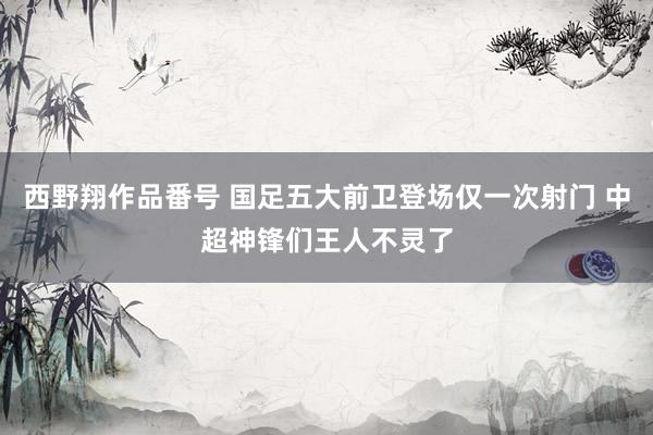 西野翔作品番号 国足五大前卫登场仅一次射门 中超神锋们王人不灵了