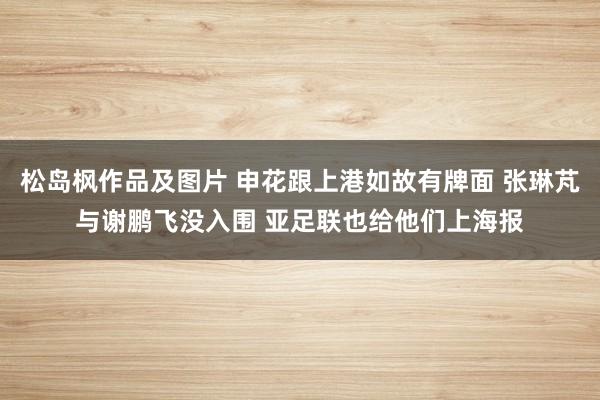 松岛枫作品及图片 申花跟上港如故有牌面 张琳芃与谢鹏飞没入围 亚足联也给他们上海报
