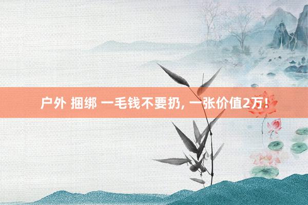 户外 捆绑 一毛钱不要扔， 一张价值2万!